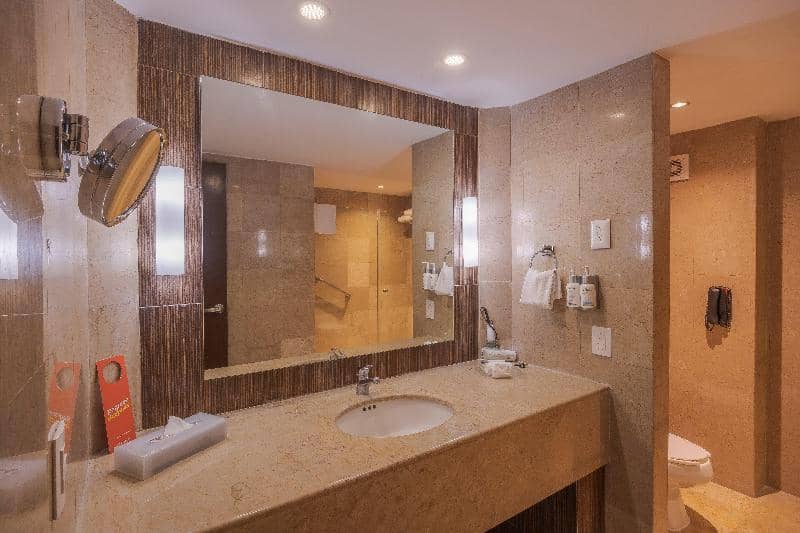 Holiday Inn Guadalajara Select - Main View