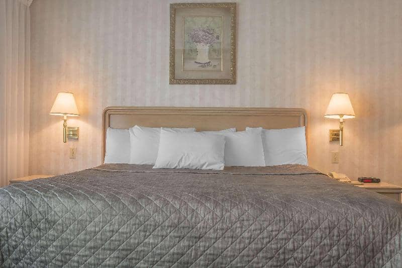 Rodeway Inn Fallsview - Main View