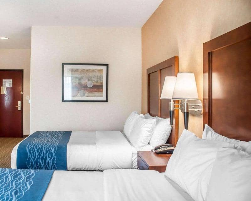 Comfort Inn & Suites Buffalo - Main View