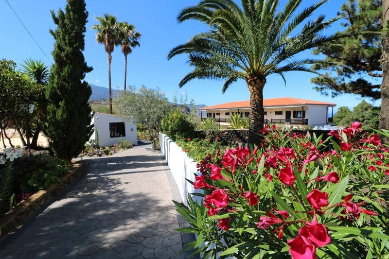 Apartamentos Miranda - Main View