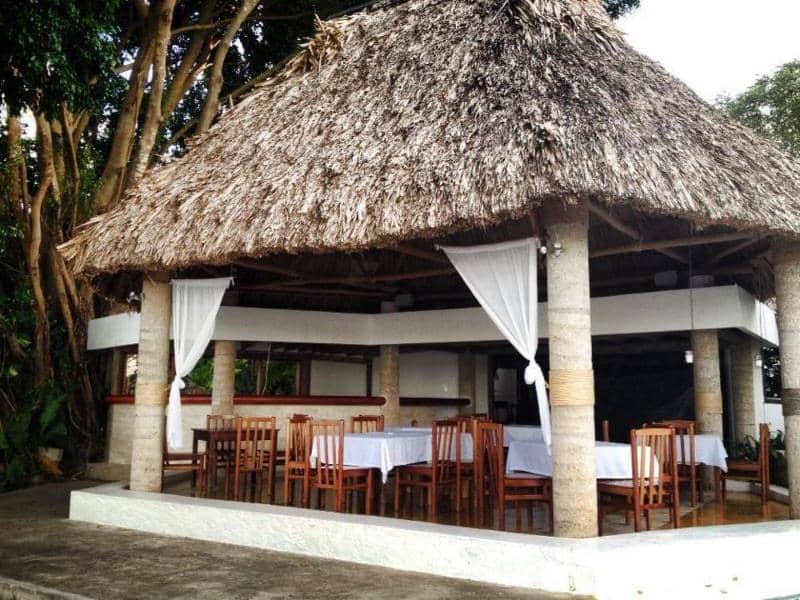 Maya Internacional - Main View