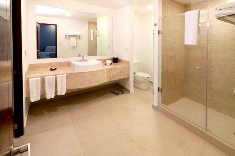 Wyndham Garden Guadalajara Acueducto - Main View