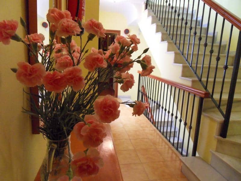 Hostal Marbella - Main View