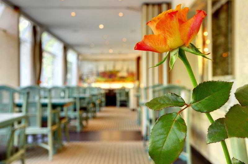 Hotel Senator - Main View