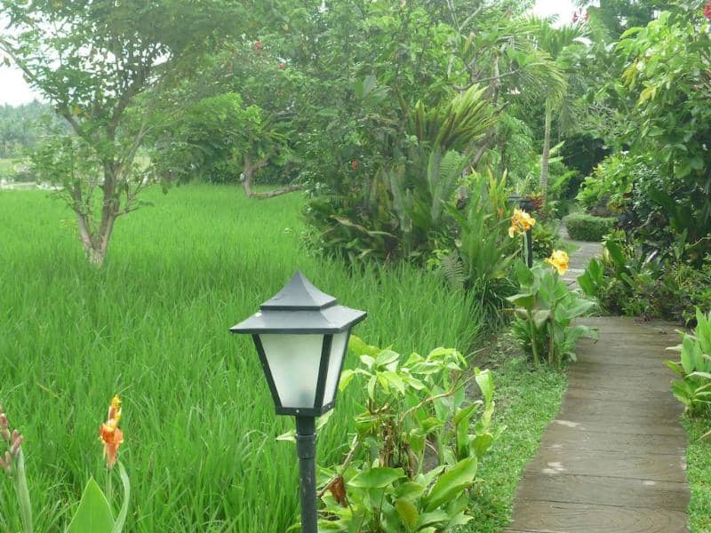 Bliss Bungalow - Main View