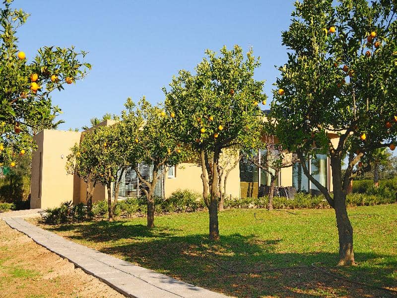 Montargil Monte Novo - Main View