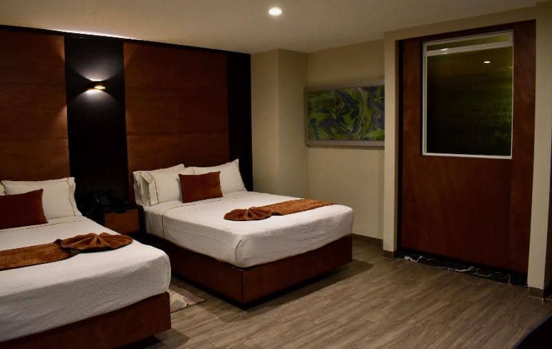 Dali Ejecutivo - Main View