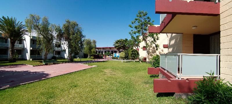 Hotel Palia Don Pedro image 6