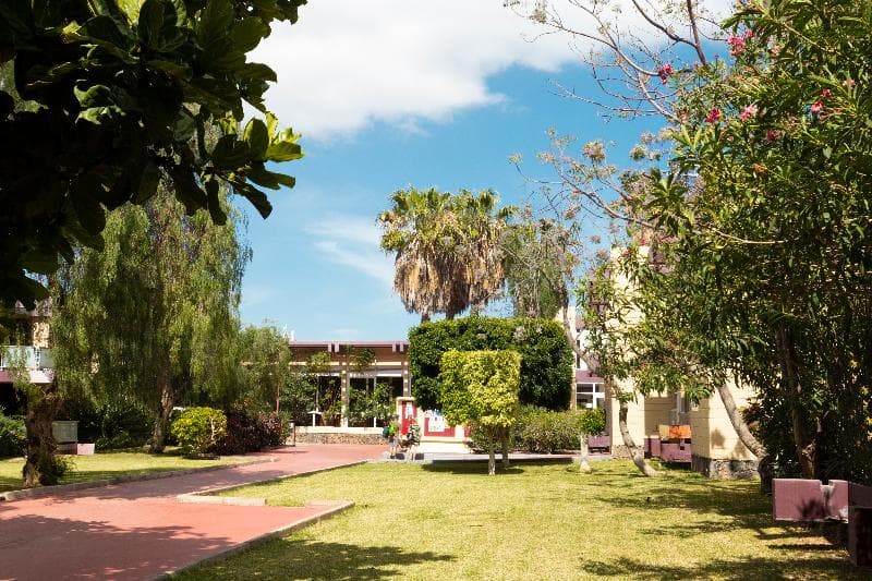 Hotel Palia Don Pedro image 1