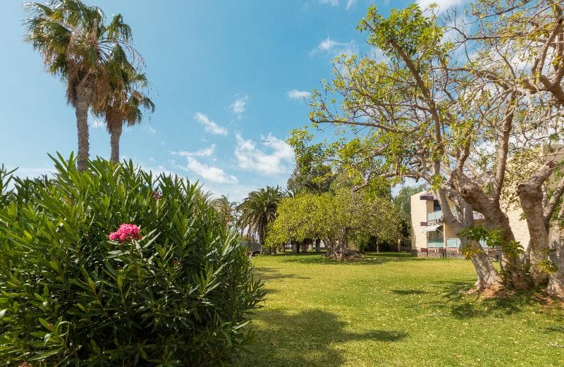 Hotel Palia Don Pedro image 4