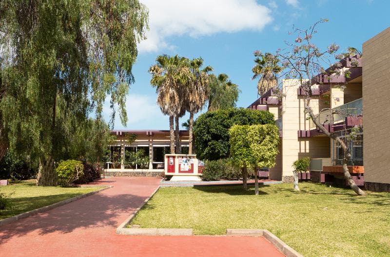 Hotel Palia Don Pedro image 5