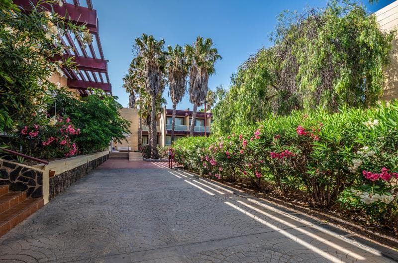 Hotel Palia Don Pedro image 11
