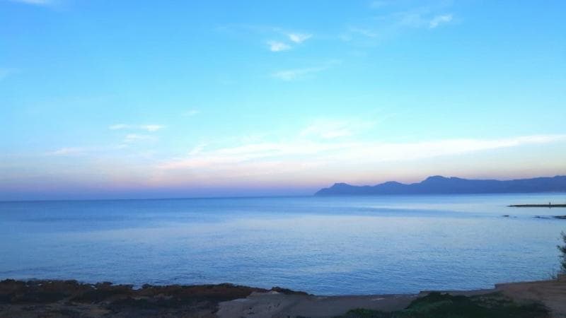 Africamar image 2
