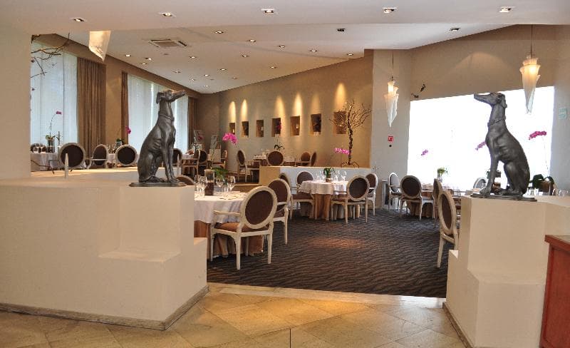 Royal Pedregal image 1