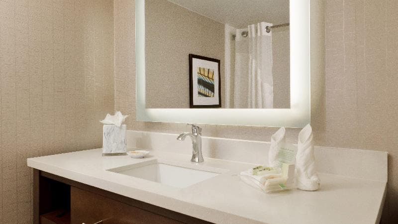 Holiday Inn Riverwalk image 2