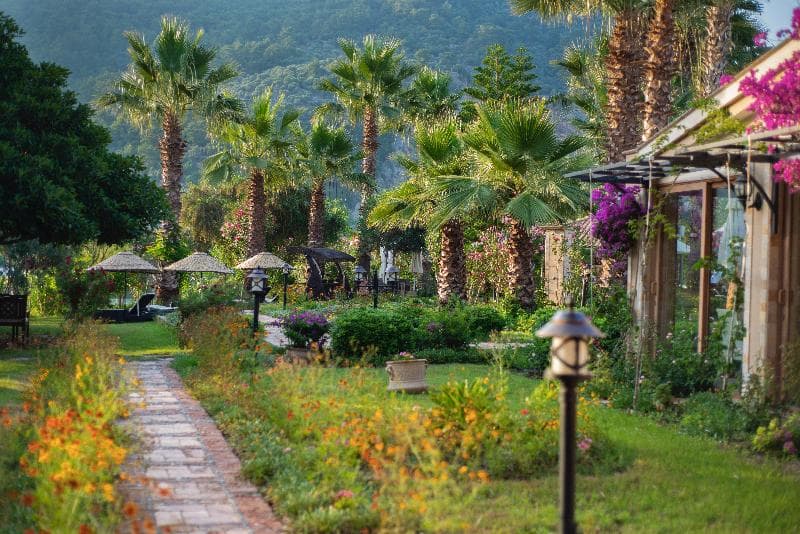 Dalyan Resort image 1