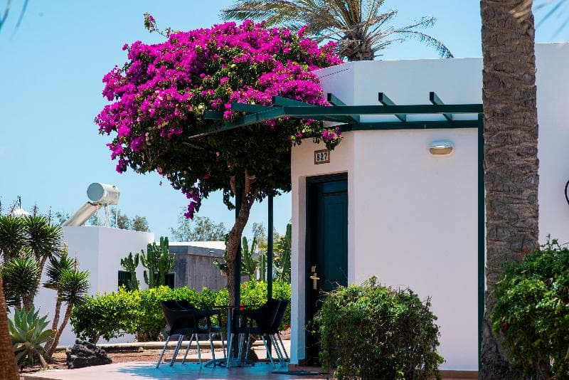 HL Club Playa Blanca image 1