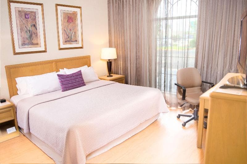 IStay Hotel Ciudad Victoria image 1