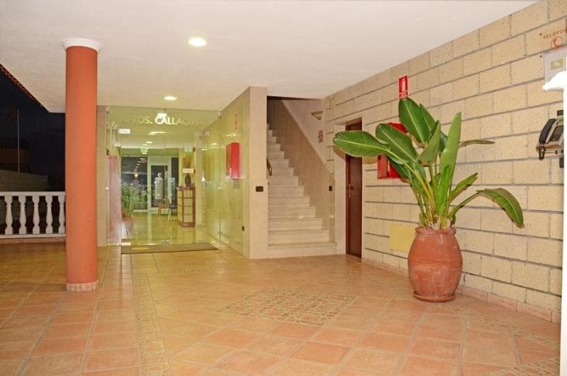 Callaomar image 1