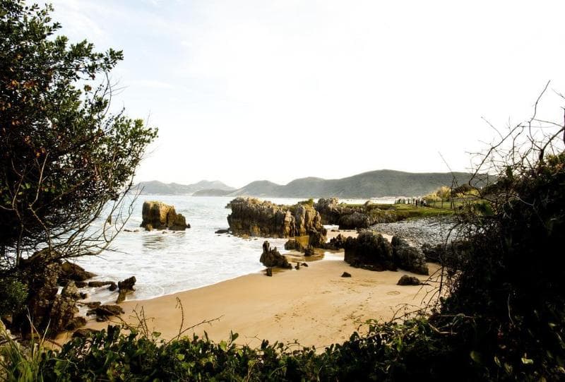 Las Olas image 1