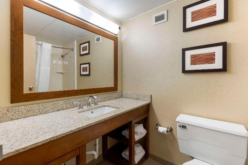 Comfort Inn St. Louis - Westport Event Center image 2