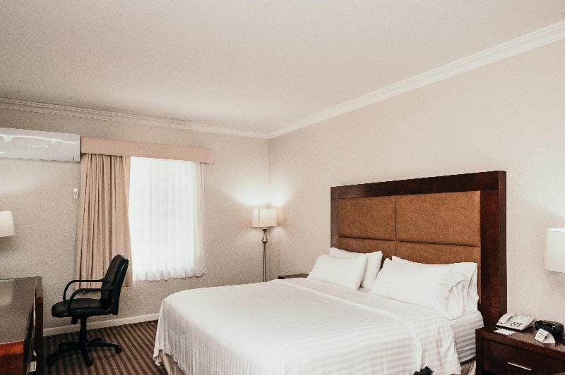 Holiday Inn Durango image 2
