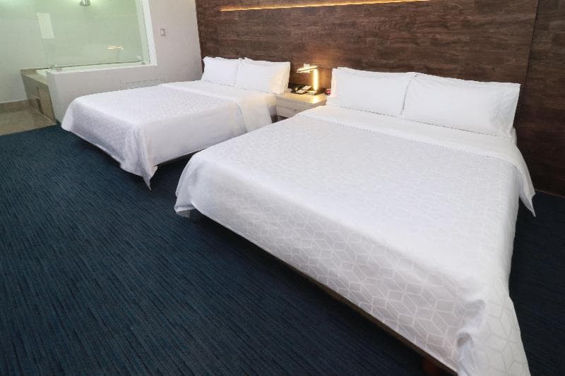 Holiday Inn San Luis Potosi image 1