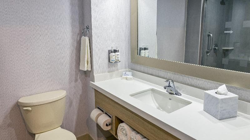 Holiday Inn Express Chihuahua image 1