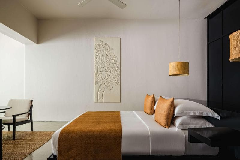 Amansara image 2