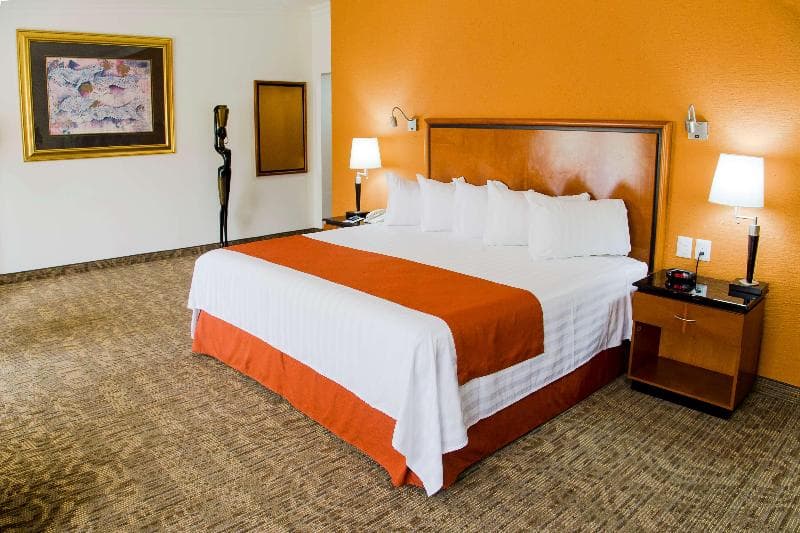 HS HOTSSON Hotel Tampico image 2