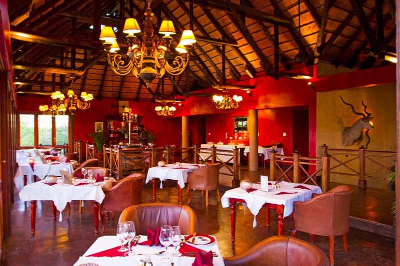 Stay at Epacha Game Lodge & Spa
