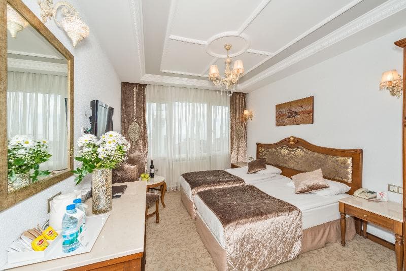 Antis Hotel Special Class image 2