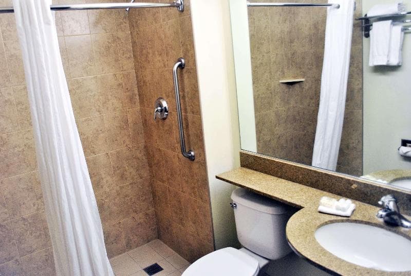 Microtel Inn & Suites By Wyndham Toluca image 2