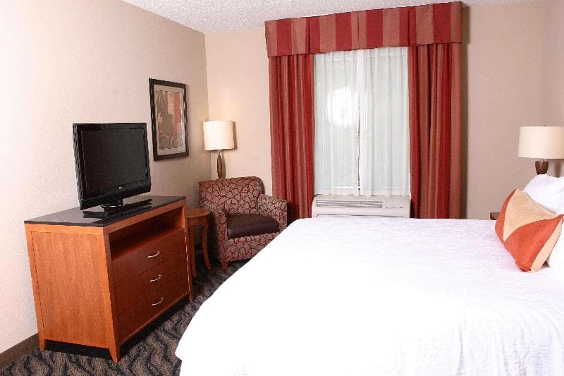Hilton Garden Inn Chesapeake/Suffolk image 2