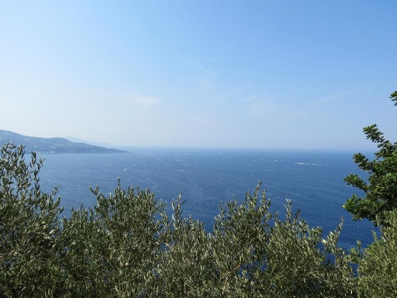 Baia Serena image 2