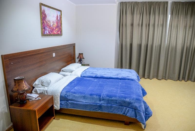 Arta Palace Hotel image 2