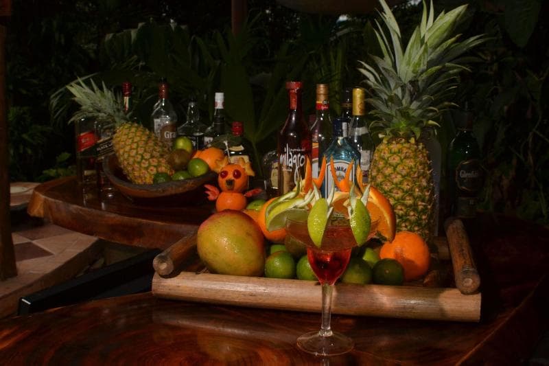 Stay at Lost Iguana Resort & Spa
