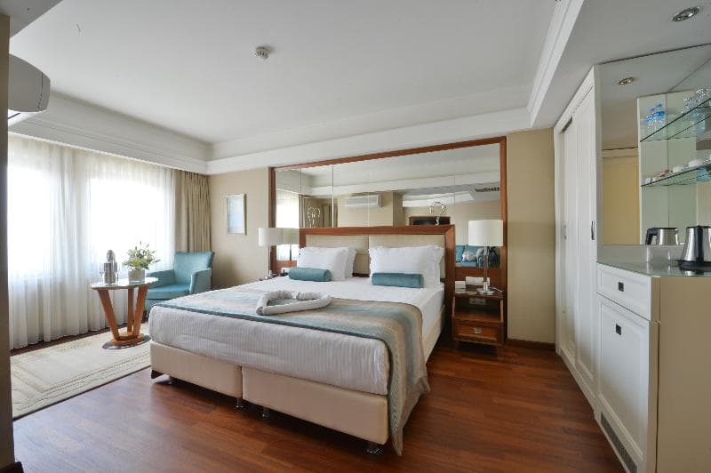 Marigold Thermal and Spa Hotel Bursa image 1