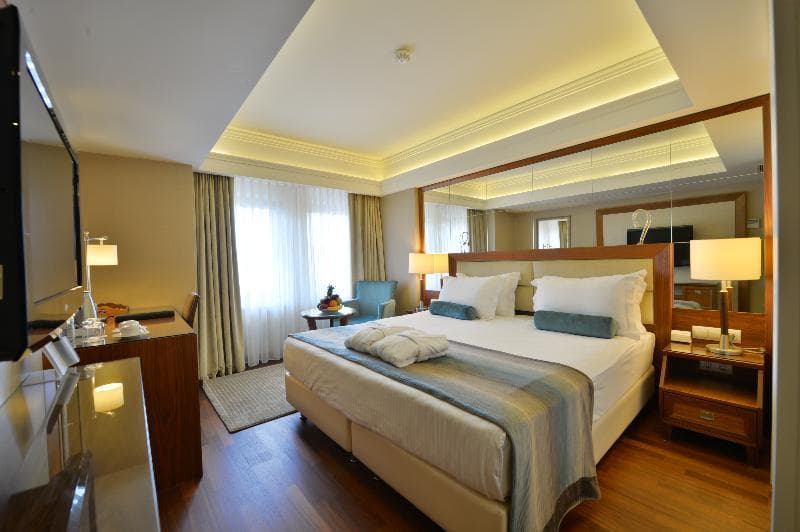 Marigold Thermal and Spa Hotel Bursa image 2