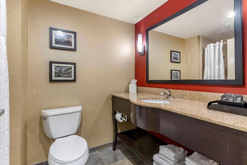 Stay at Comfort Suites Florence I-95