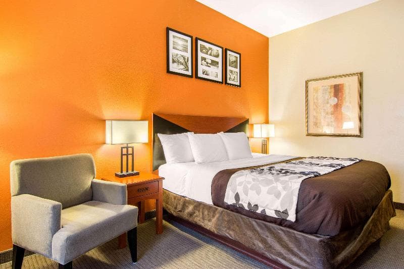 Stay at Sleep Inn & Suites Athens South