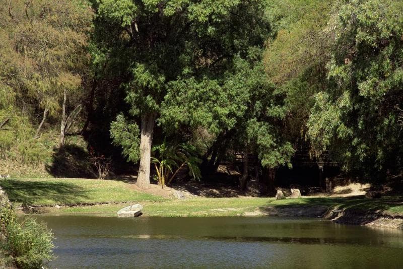 Rancho San Diego Grand Spa Resort image 1