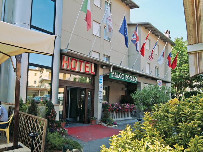 Minotel Falco Oro image 1