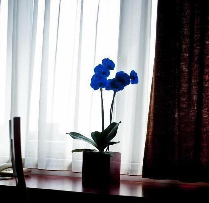 Stay at Canada Hotel