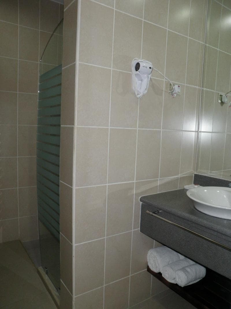 Hotel Brandt Ejecutivo Colonial Los Robles image 1
