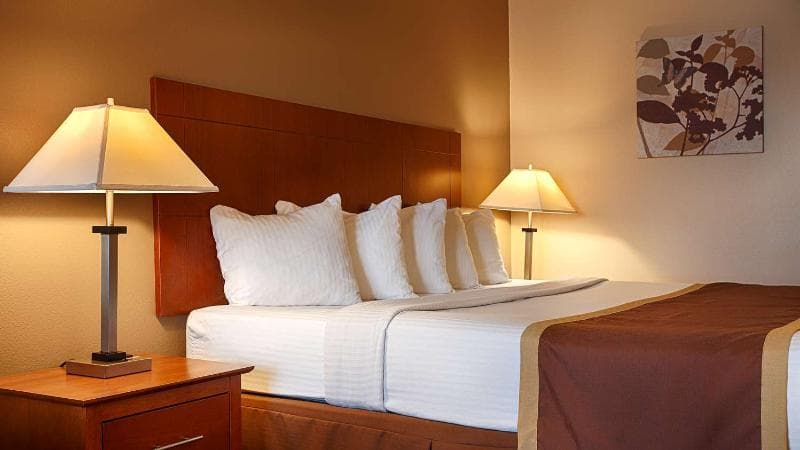 Stay at Quality Inn & Suites