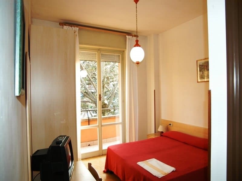 Amica image 2