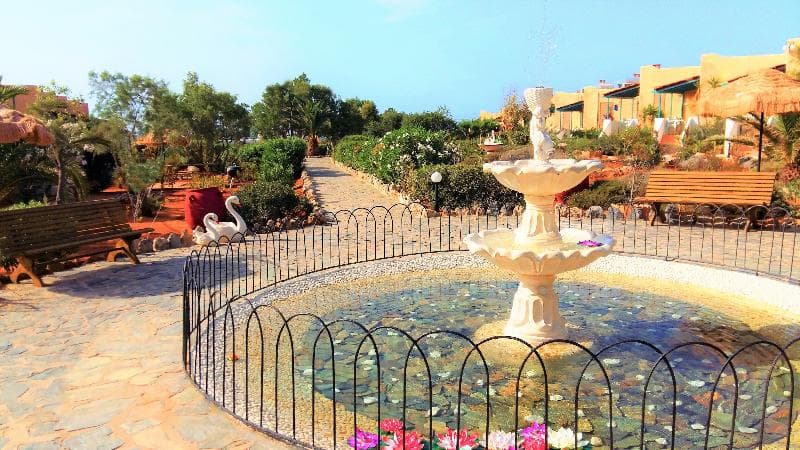 Stay at Zorbas Hotel Beach Village