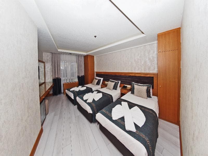 Grand Emir Hotel image 2