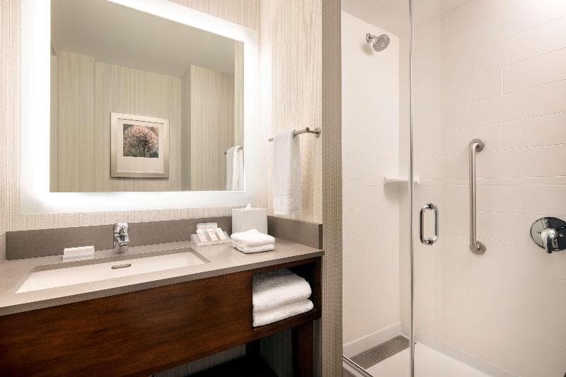 Hilton Garden Inn Long Island City New York image 2
